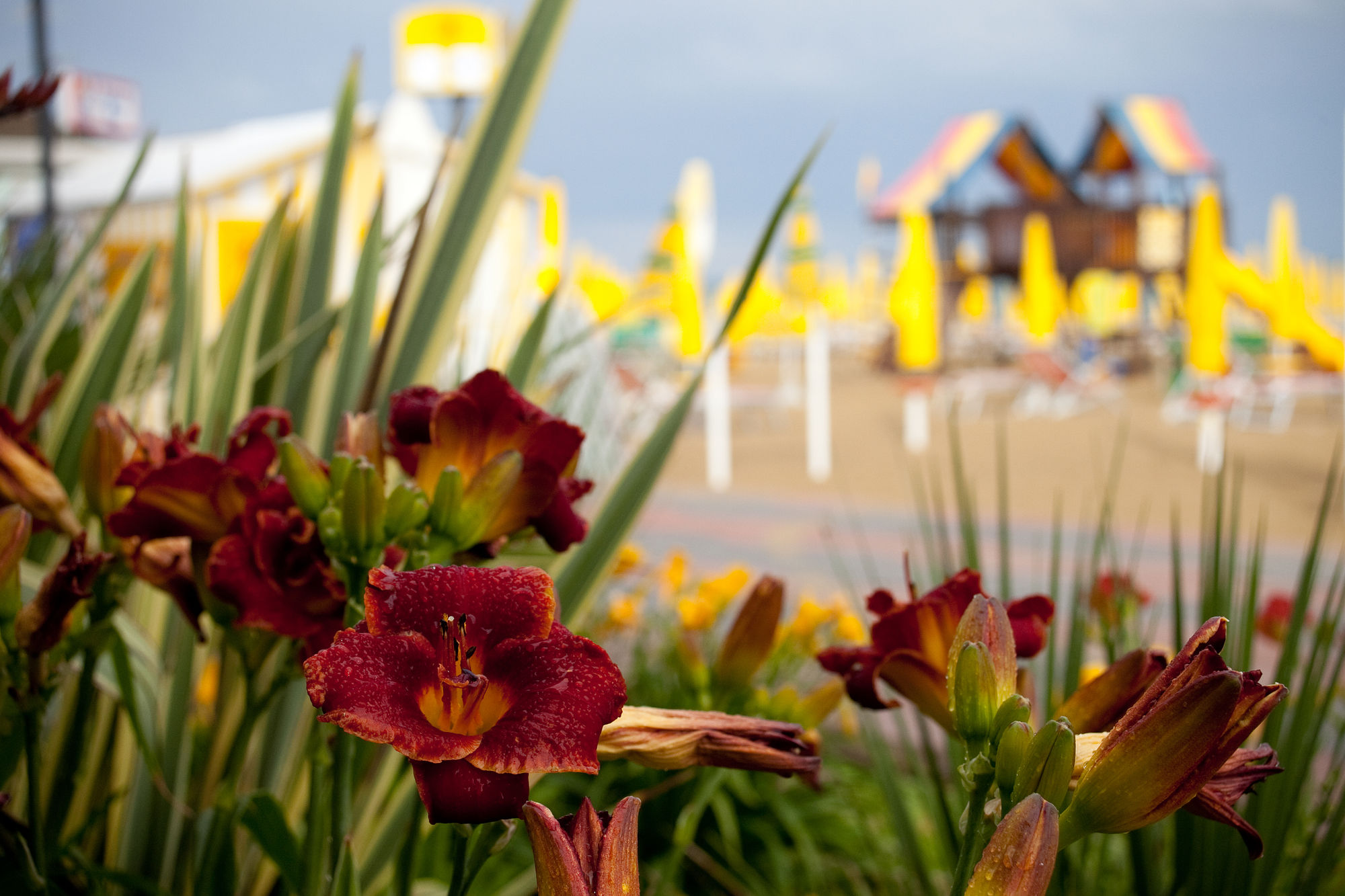 Фото Hotel Gritti