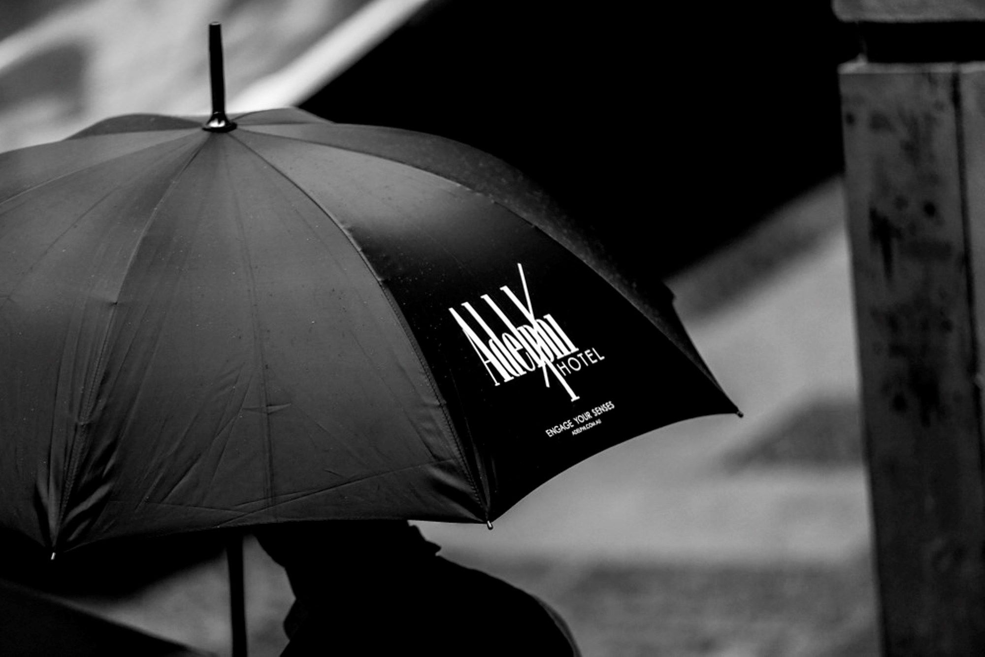 Фото Adelphi Hotel