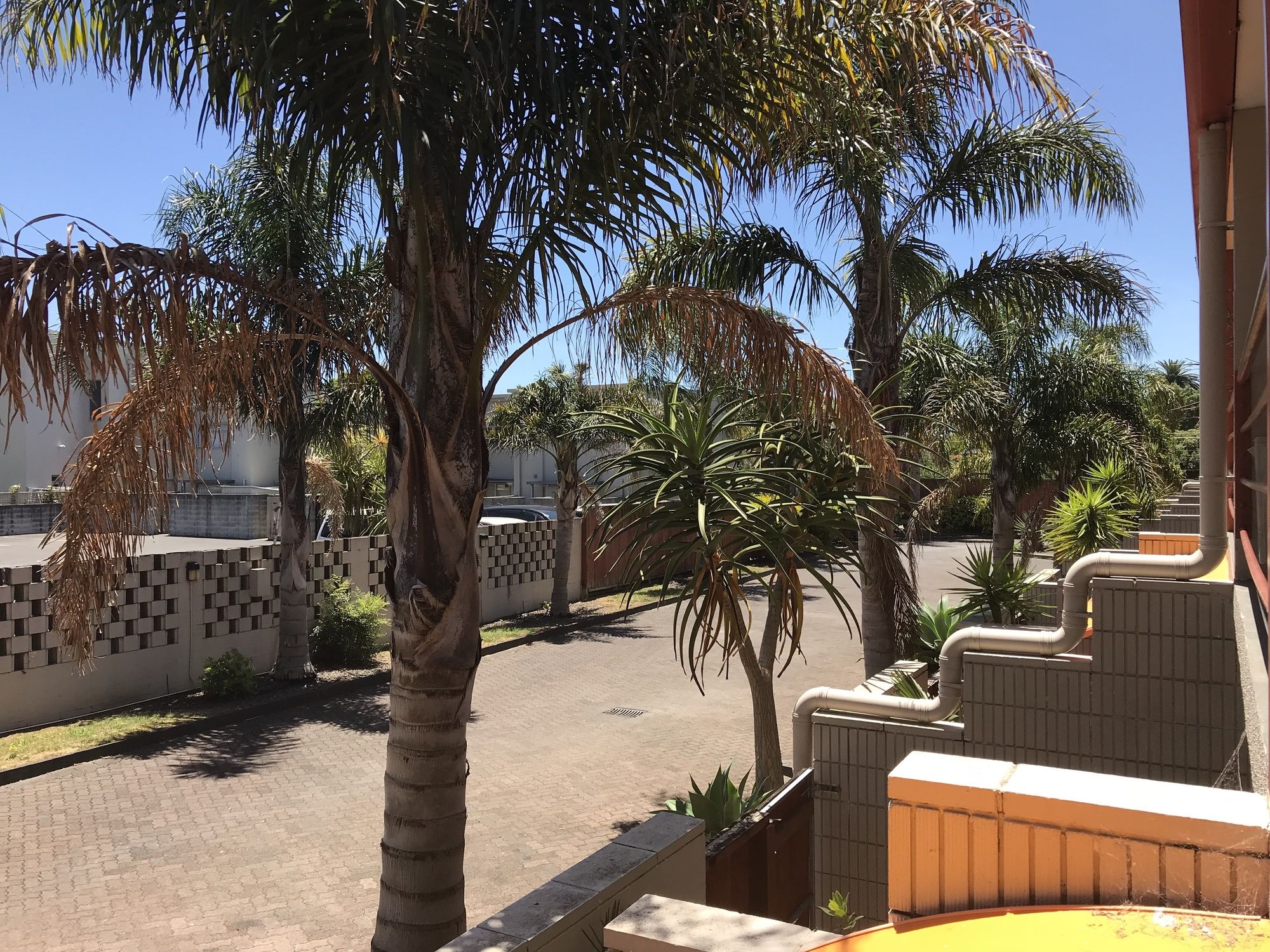 Фото Ascot Epsom Motel