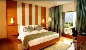 Гостиница Radisson Blu Hotel Chennai City Centre