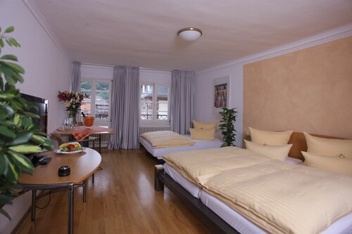 Внешний вид отеля Goldener Falke в Гейдельберге, фото 2