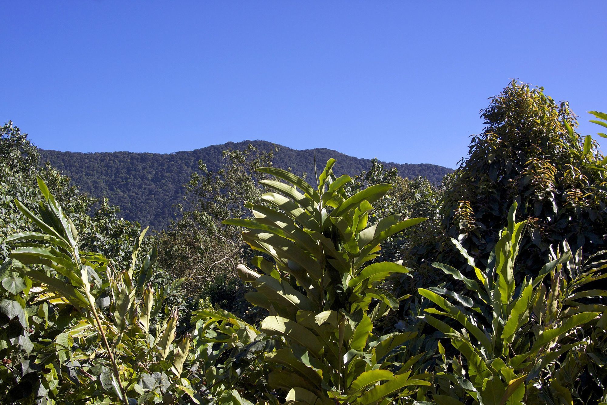 Фото Pousada Porto Mare