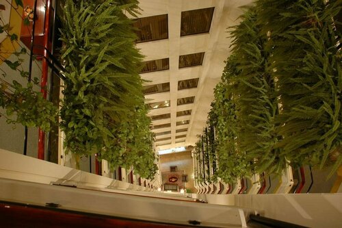 Гостиница Ritz Apart Hotel в Боливии