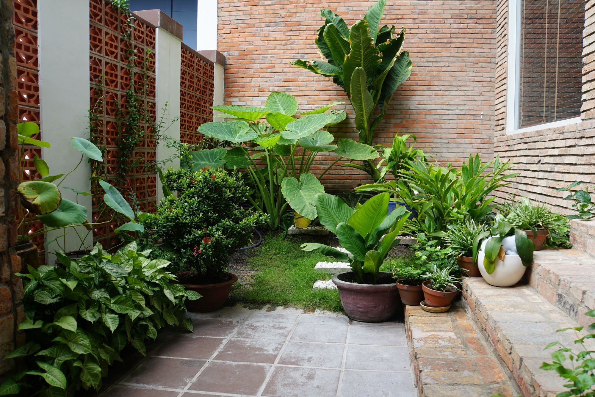 Фото Ananas Family Hotel