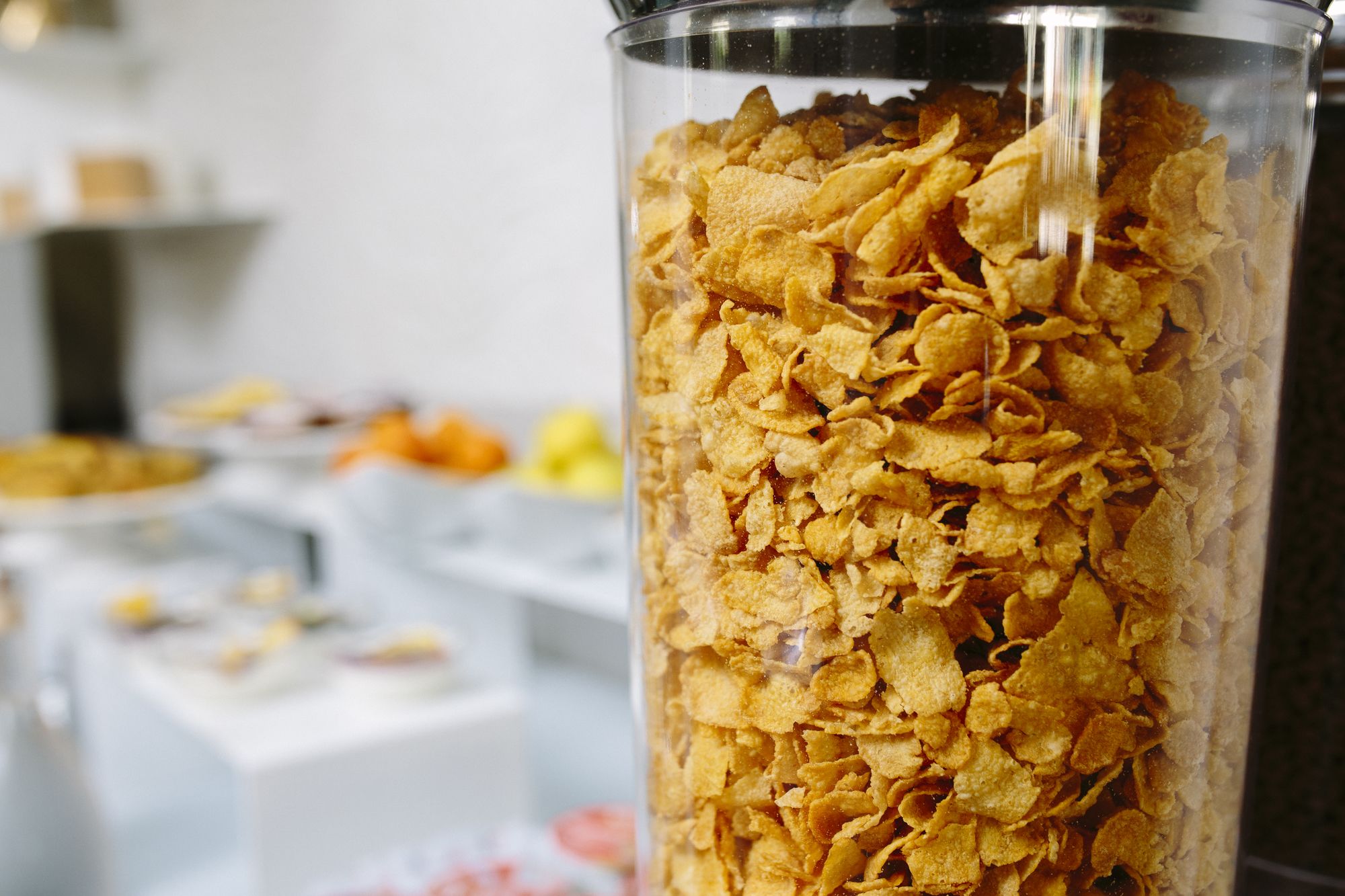 Фото Hotel Paradiso