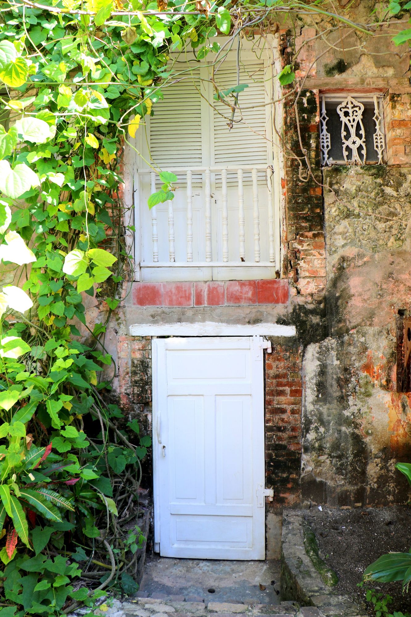 Фото Hotel Florita