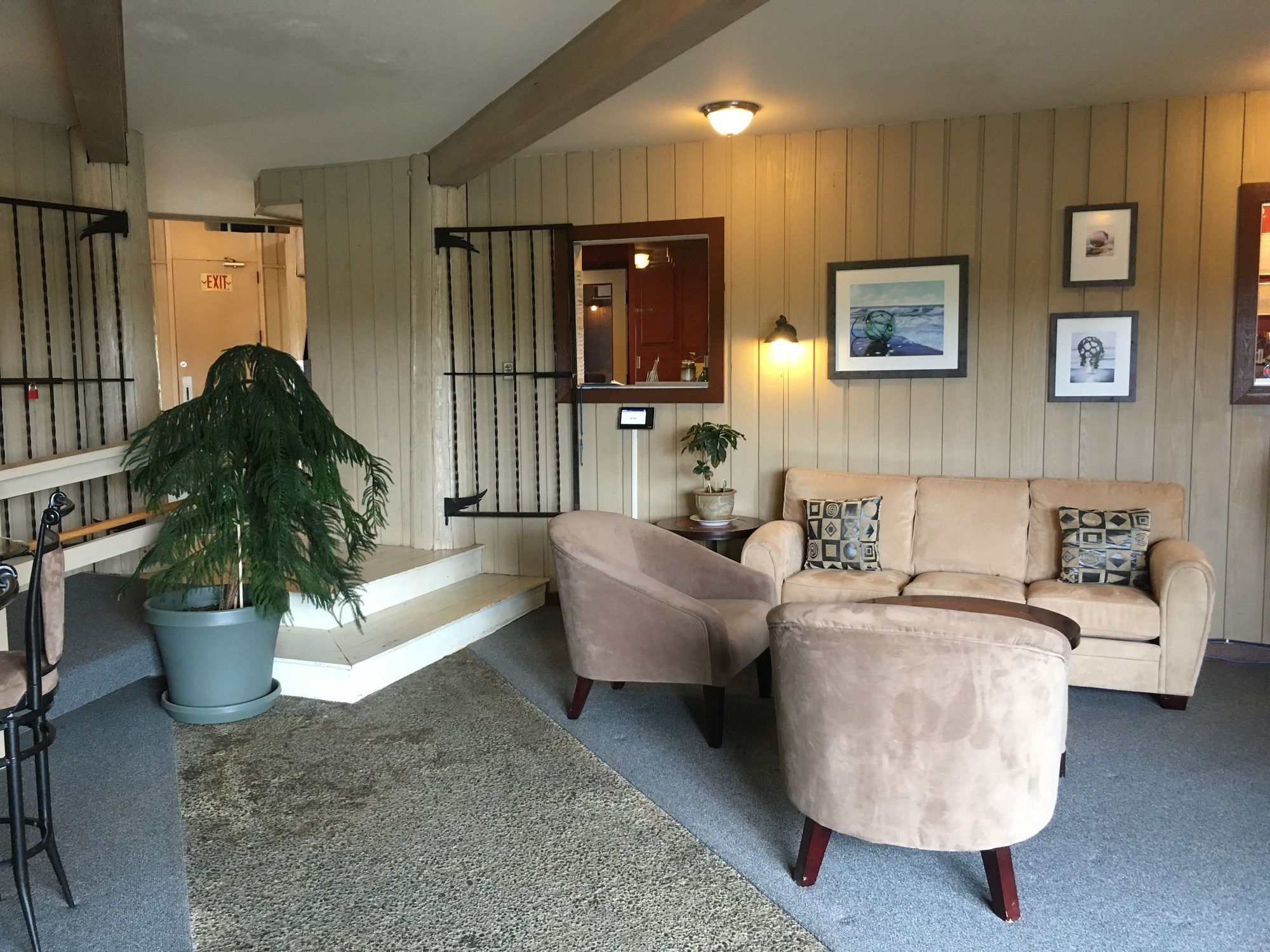 Фото The Grey Gull