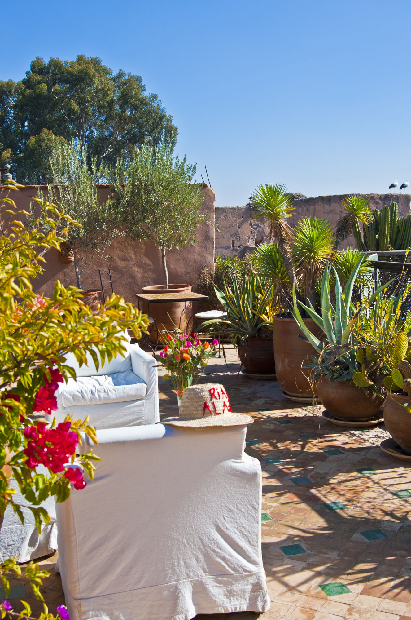 Фото Riad Aladdin