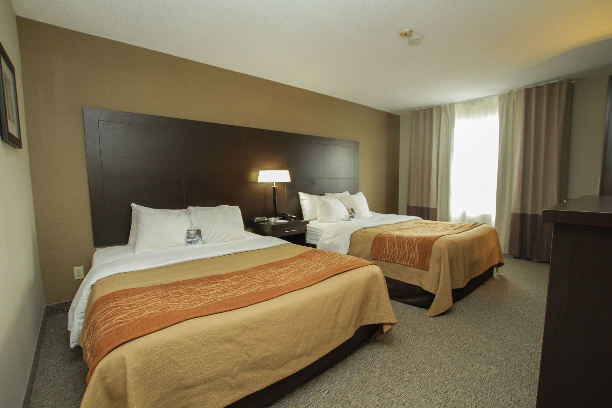 Фото Comfort Inn