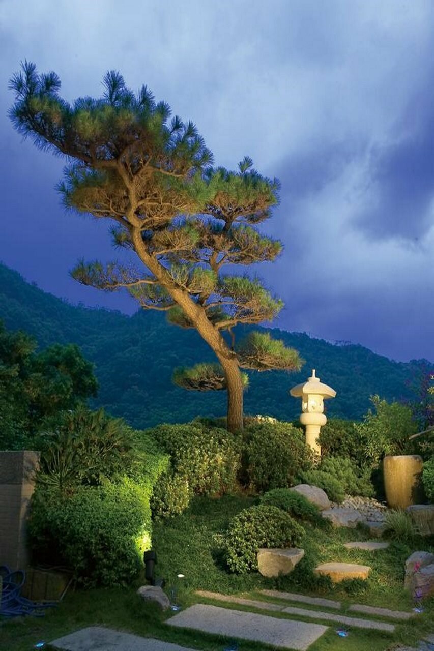 Фото Spring City Resort