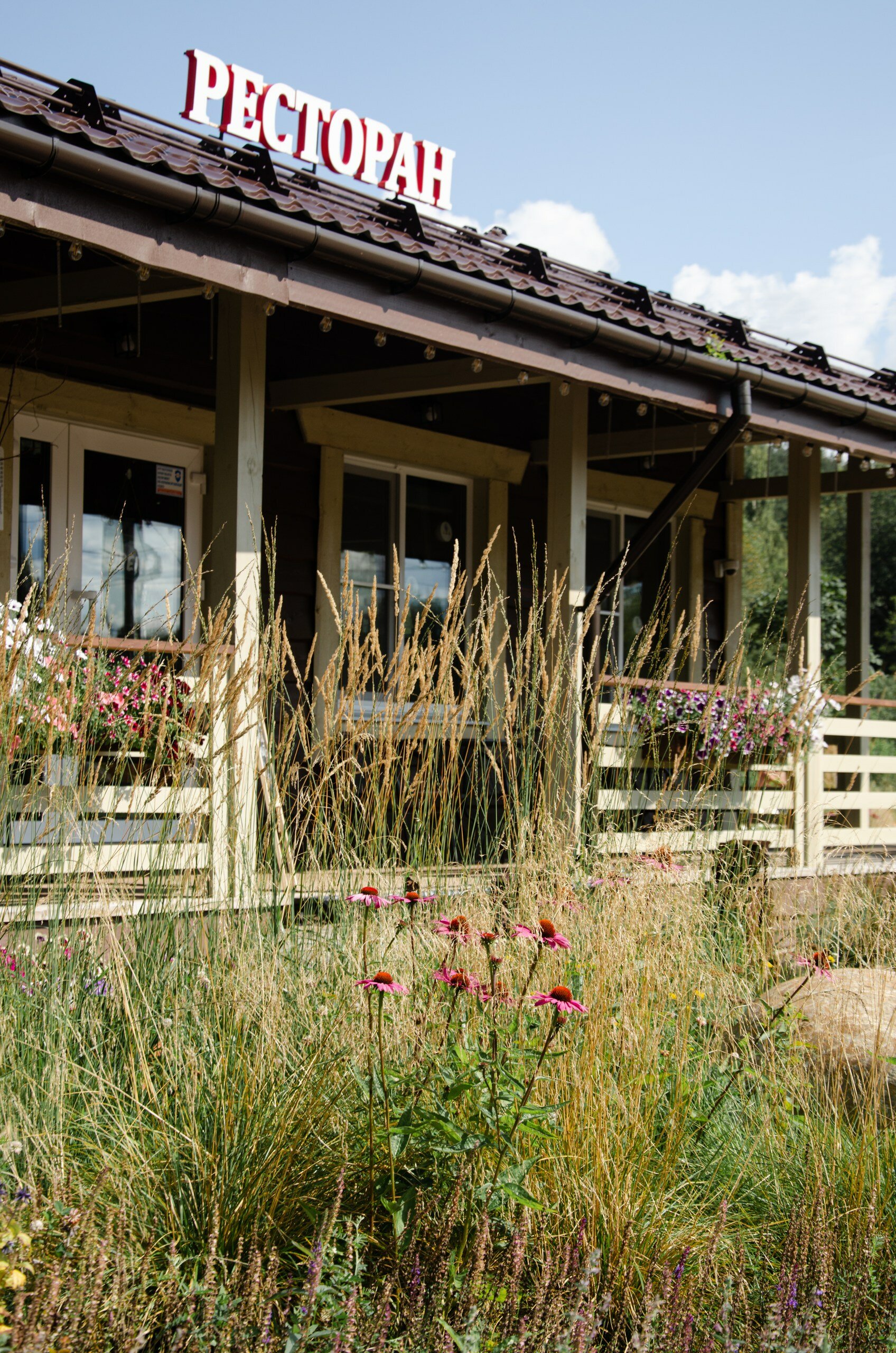 Фото Курорт Илмола