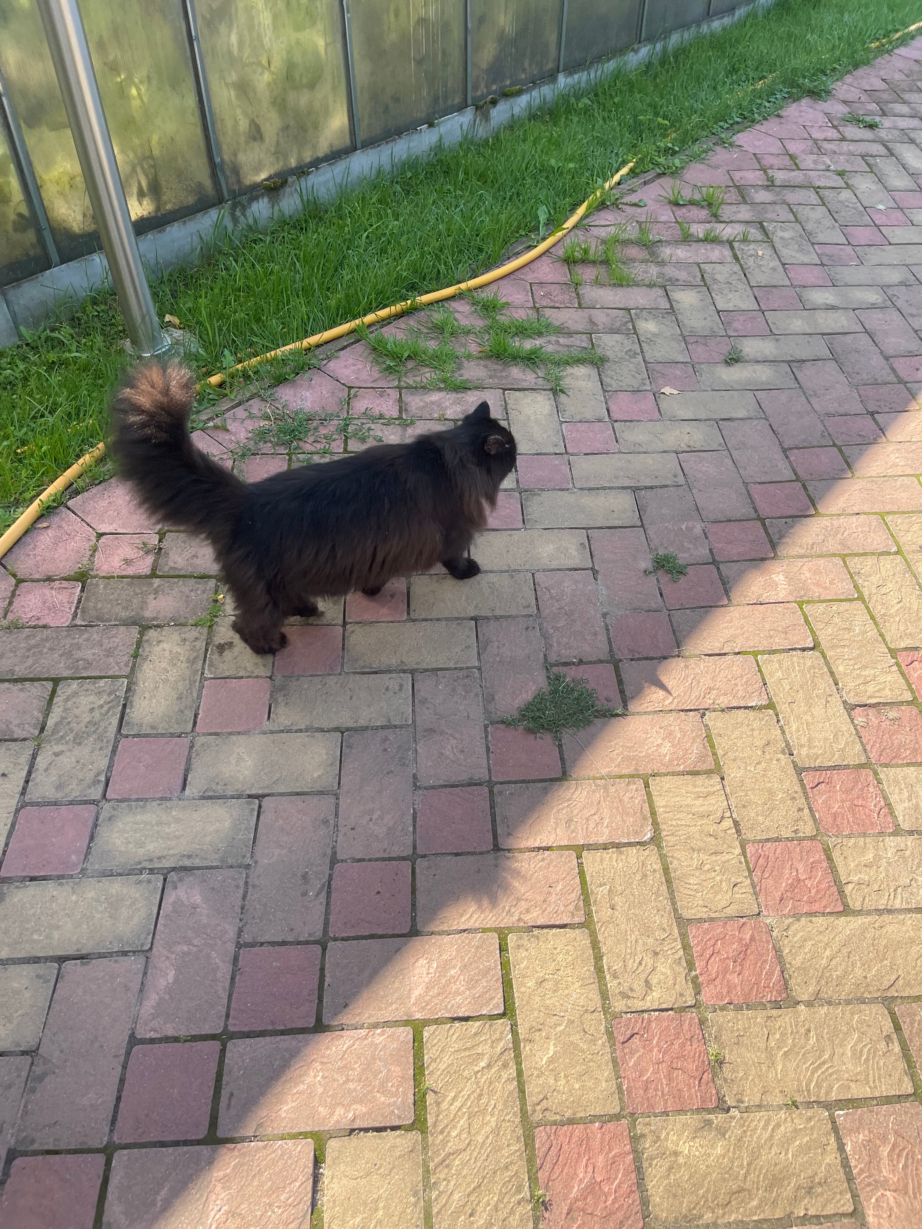 Фото Отдых и точка