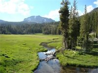 Фото Best Western Rose Quartz Inn