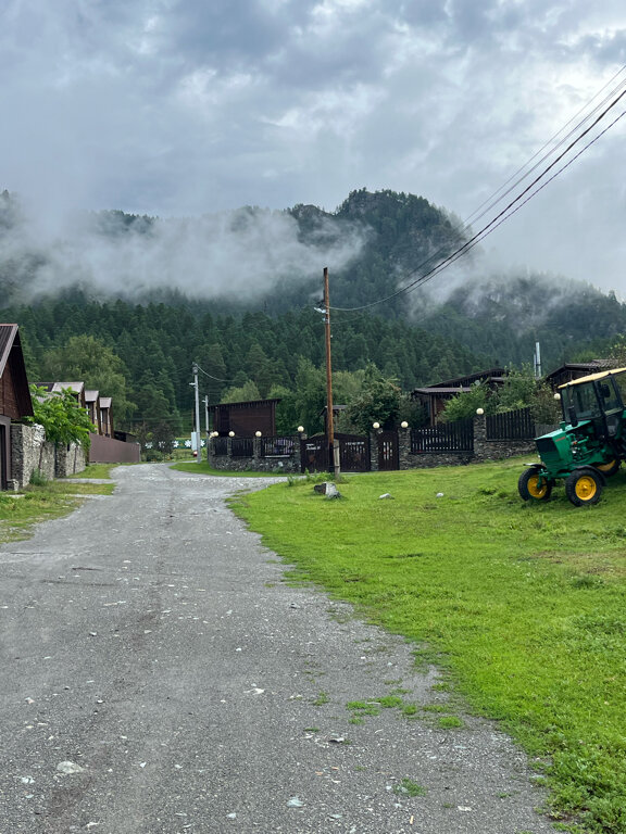 Фото Медведь и Ягодка