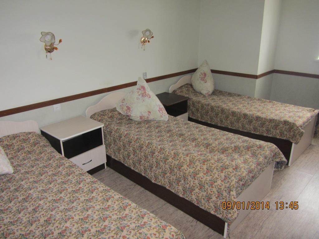 Фото Большая медведица