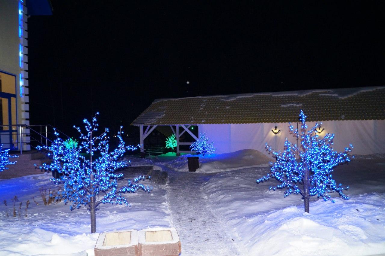 Фото У Горы Волчиха