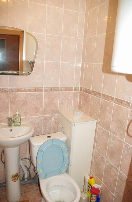 Фото Колибри