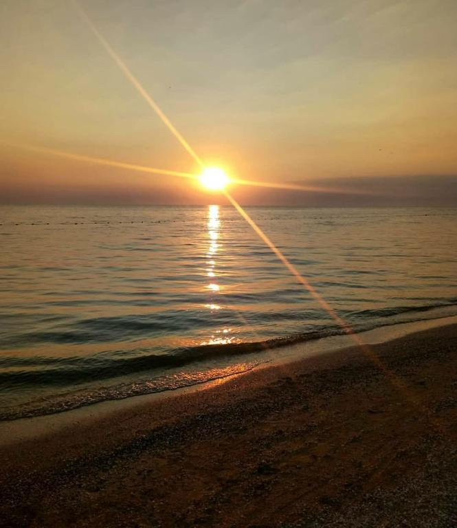 Фото Александровский сад у моря