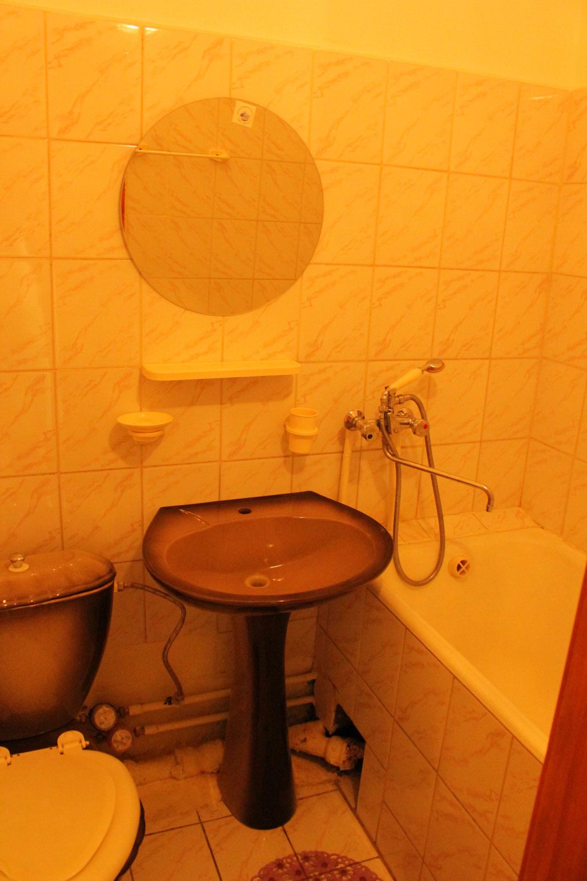 Фото Дружба