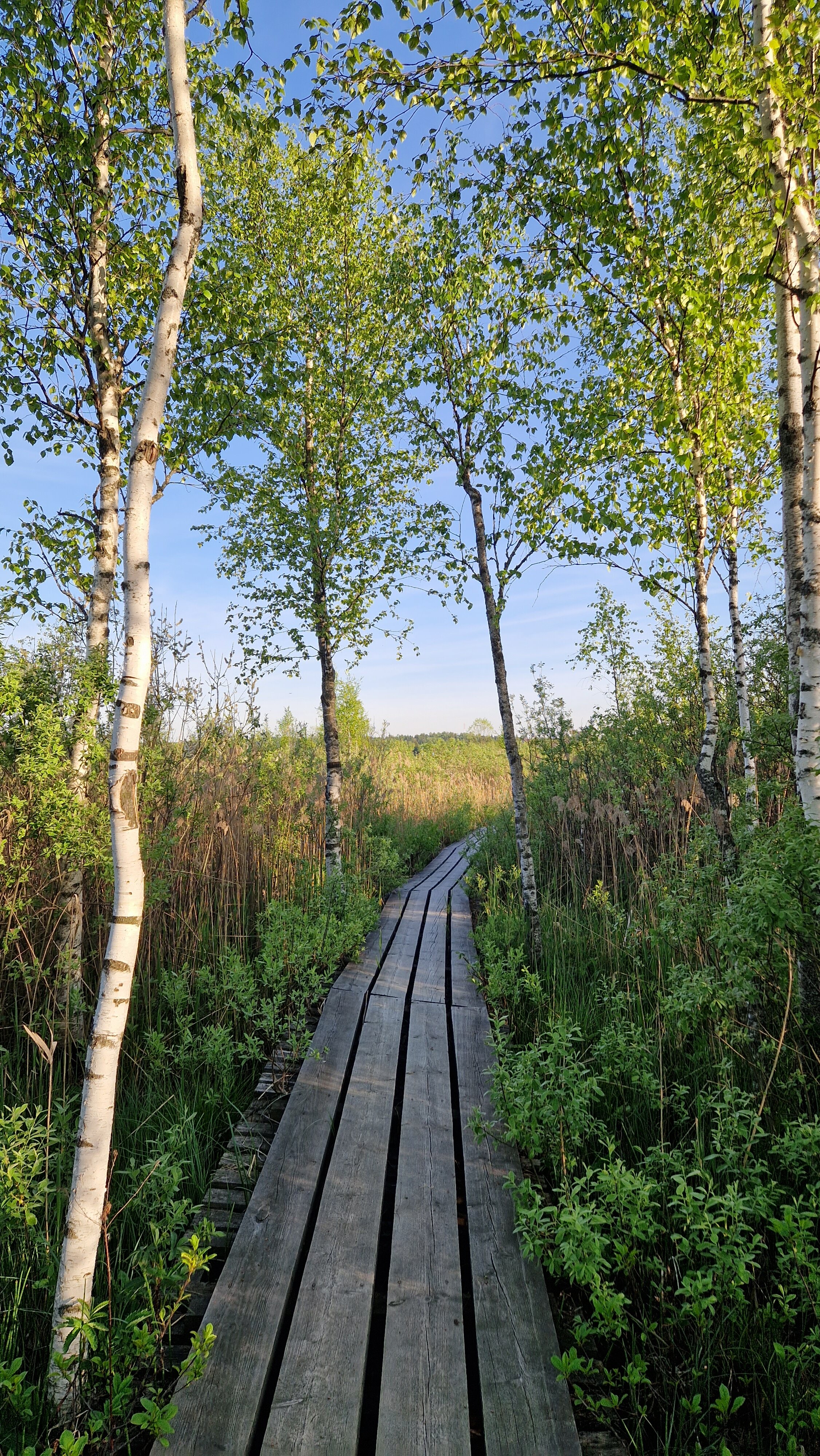 Фото Дом Шале