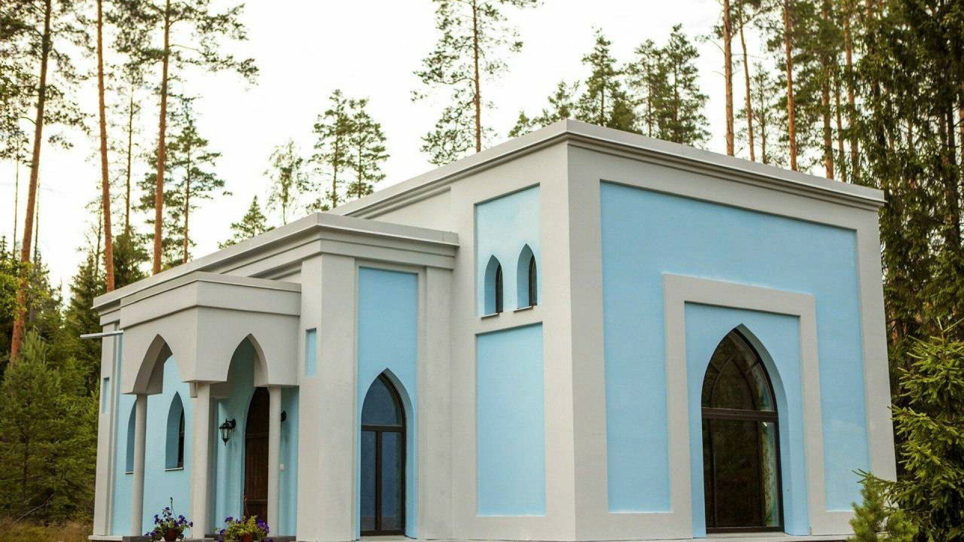 Фото Шишки на Лампушке