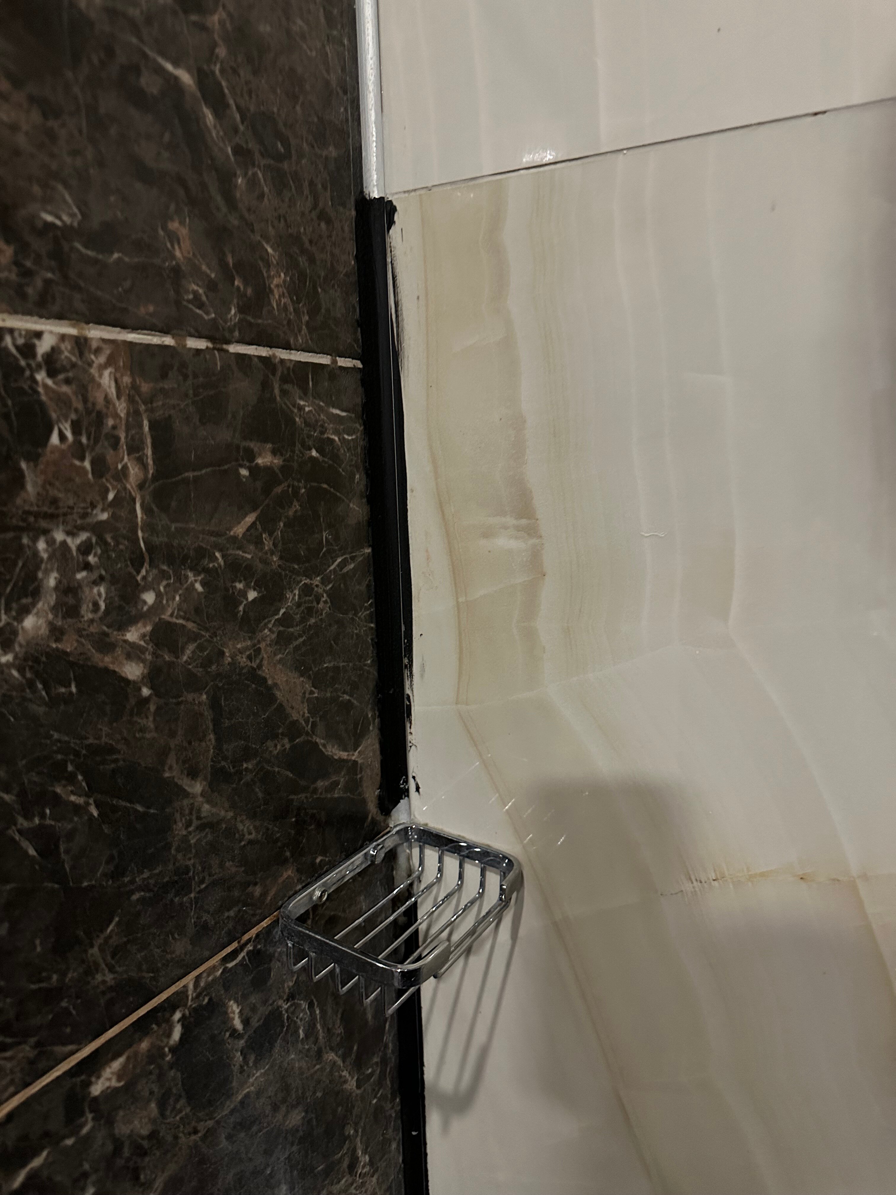 Фото Euphoria Hotel Batumi