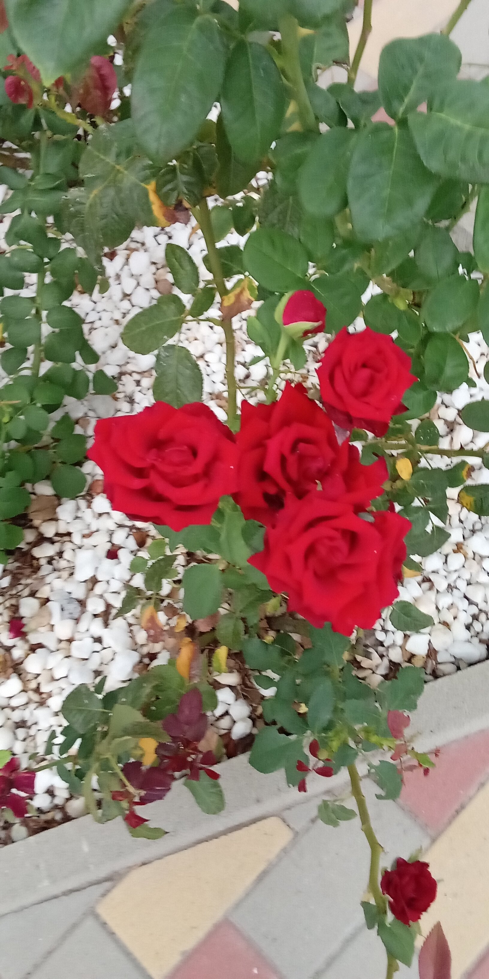 Фото Атмосфера