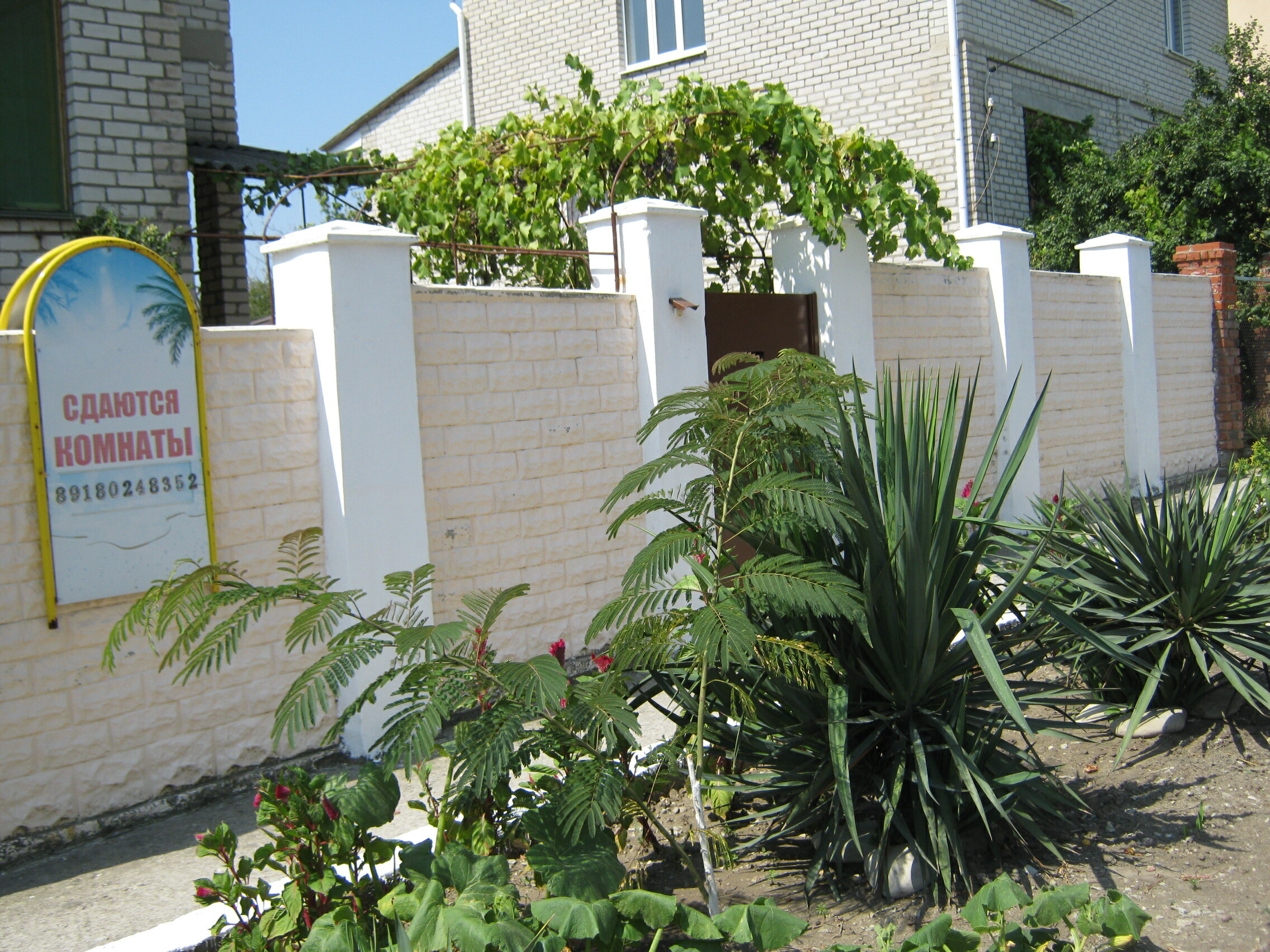 Фото Борисовский 5