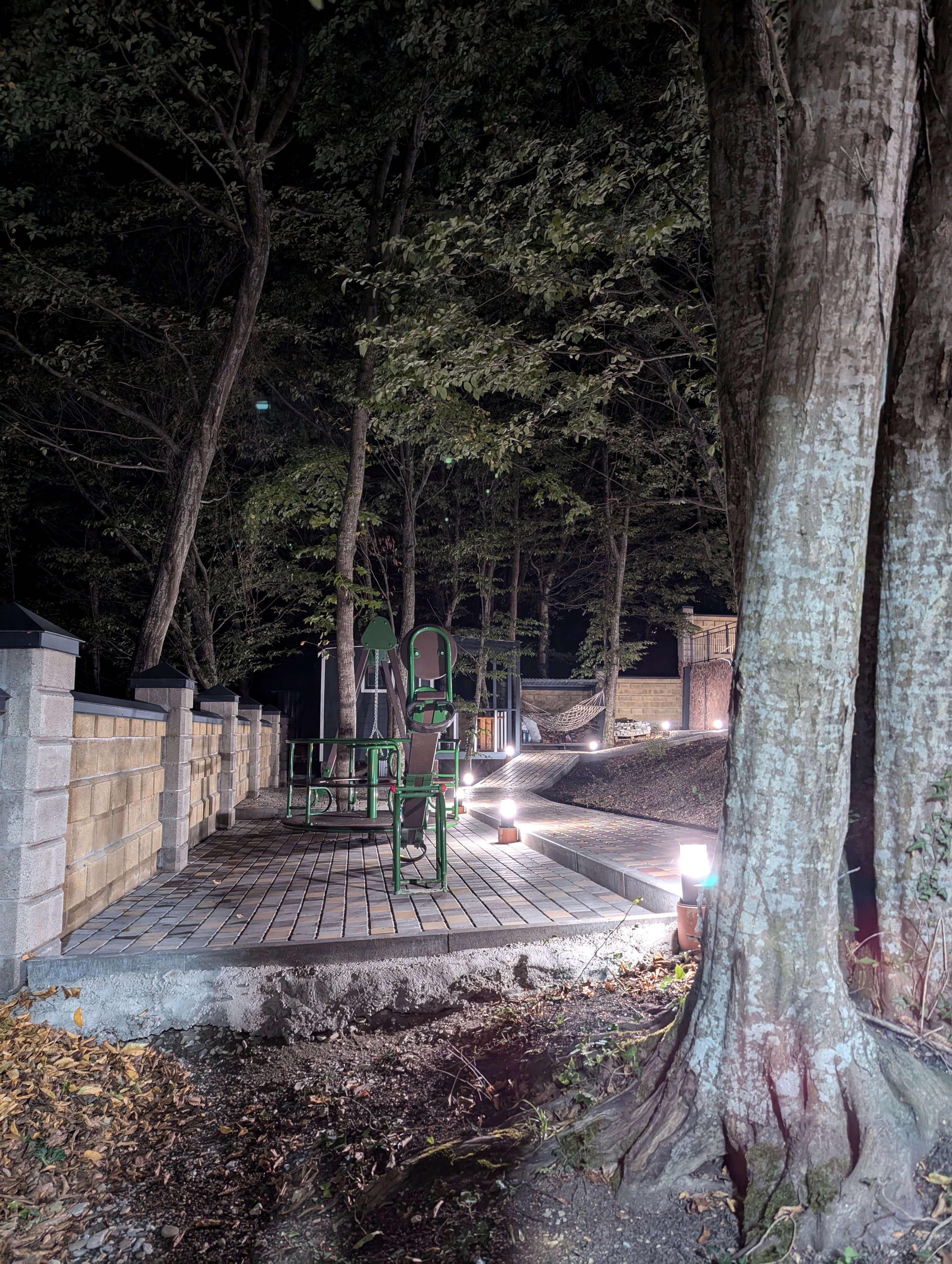 Фото Forest Dreams