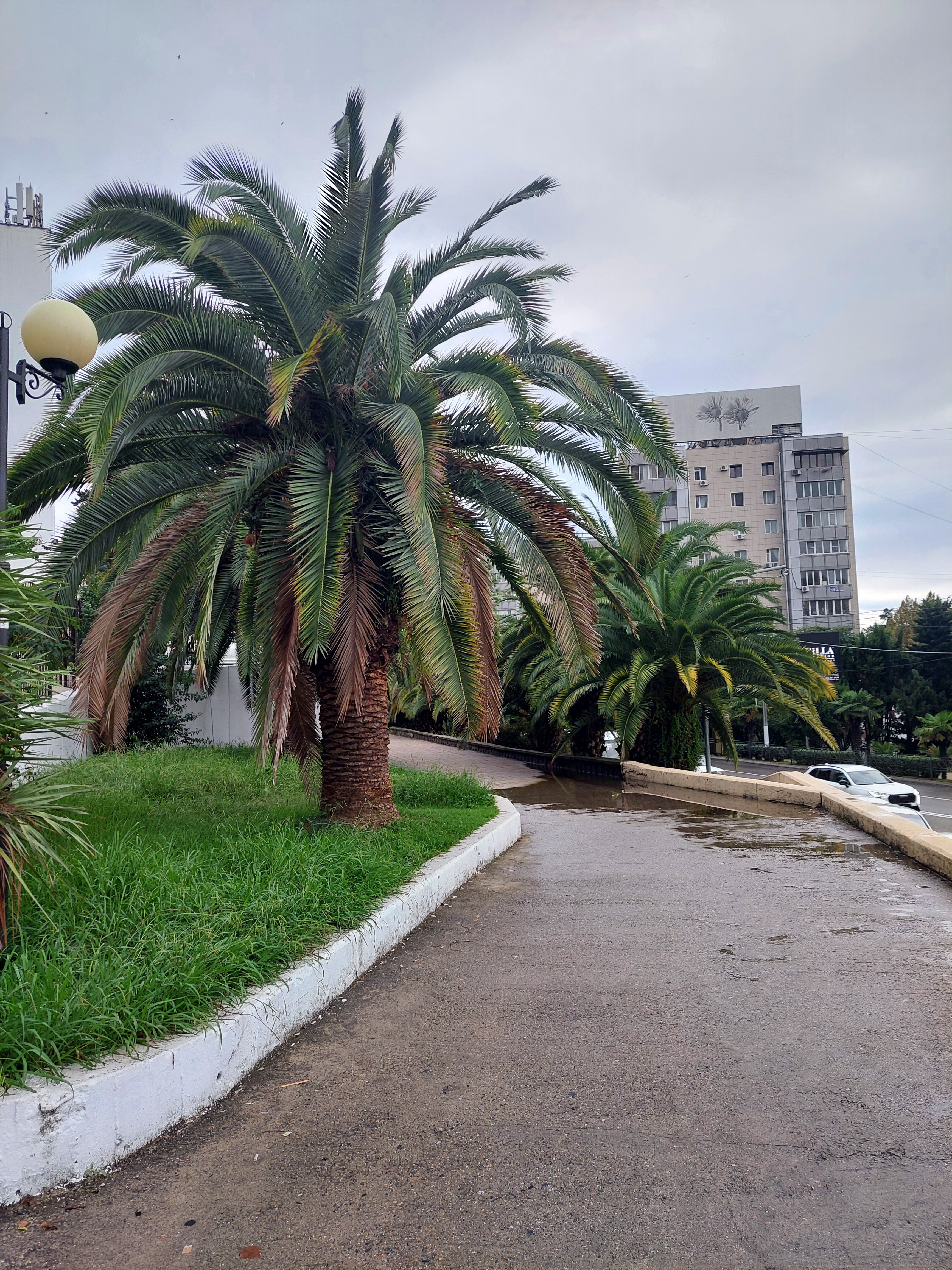 Фото Неолит Парк Горького