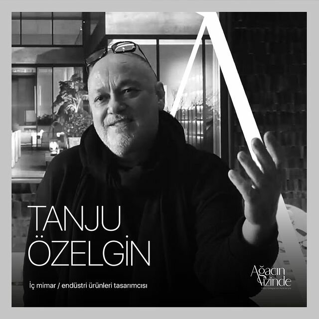 Information agency In the Footsteps of the Tree Architectural News, Kartepe, photo