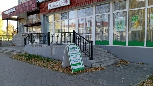 Әйелім жұдырықтасуды ұсынды.