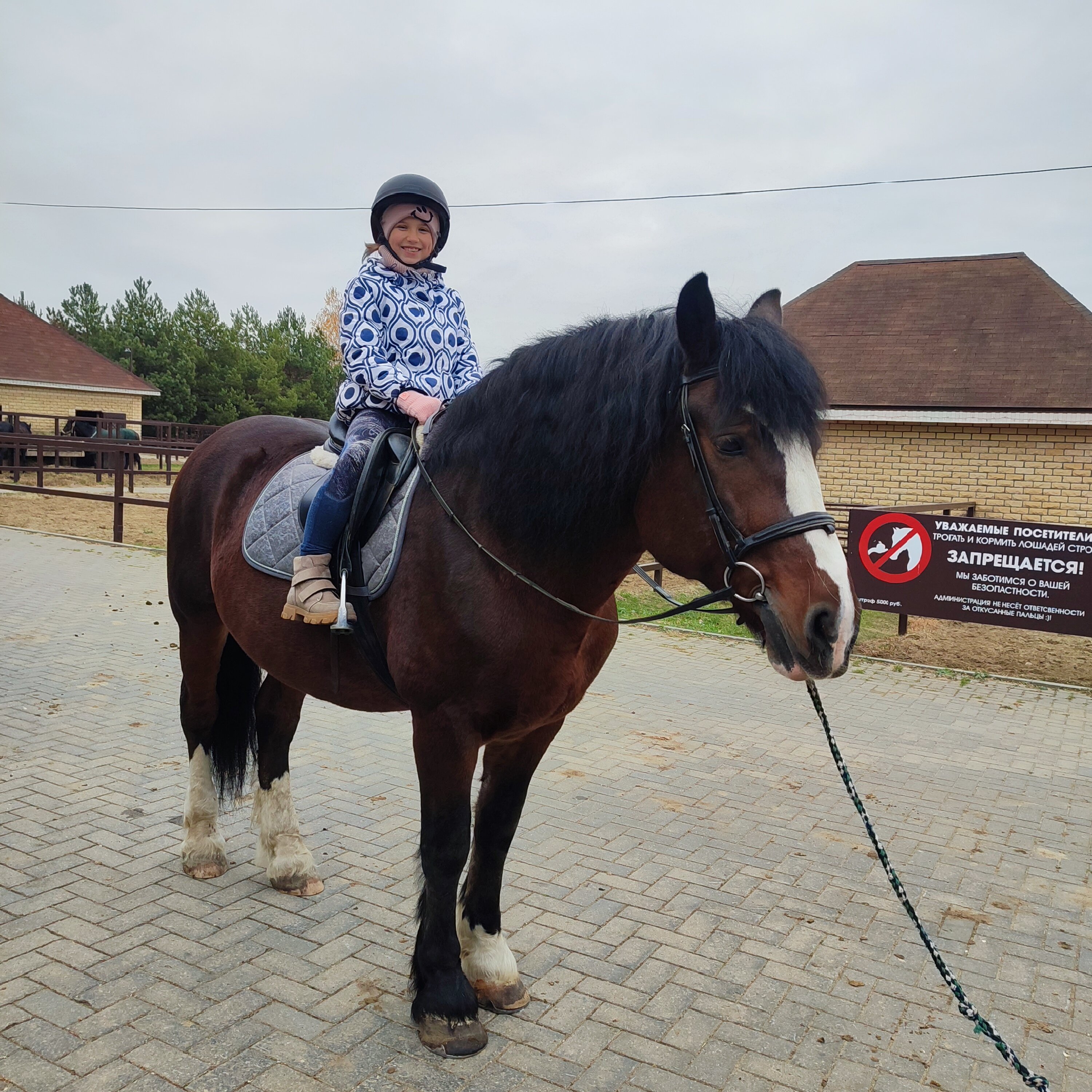 Фото Парк-отель История