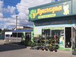 Near the Lukomorye (улица Генерала Петрова, 37Т), gardening shop