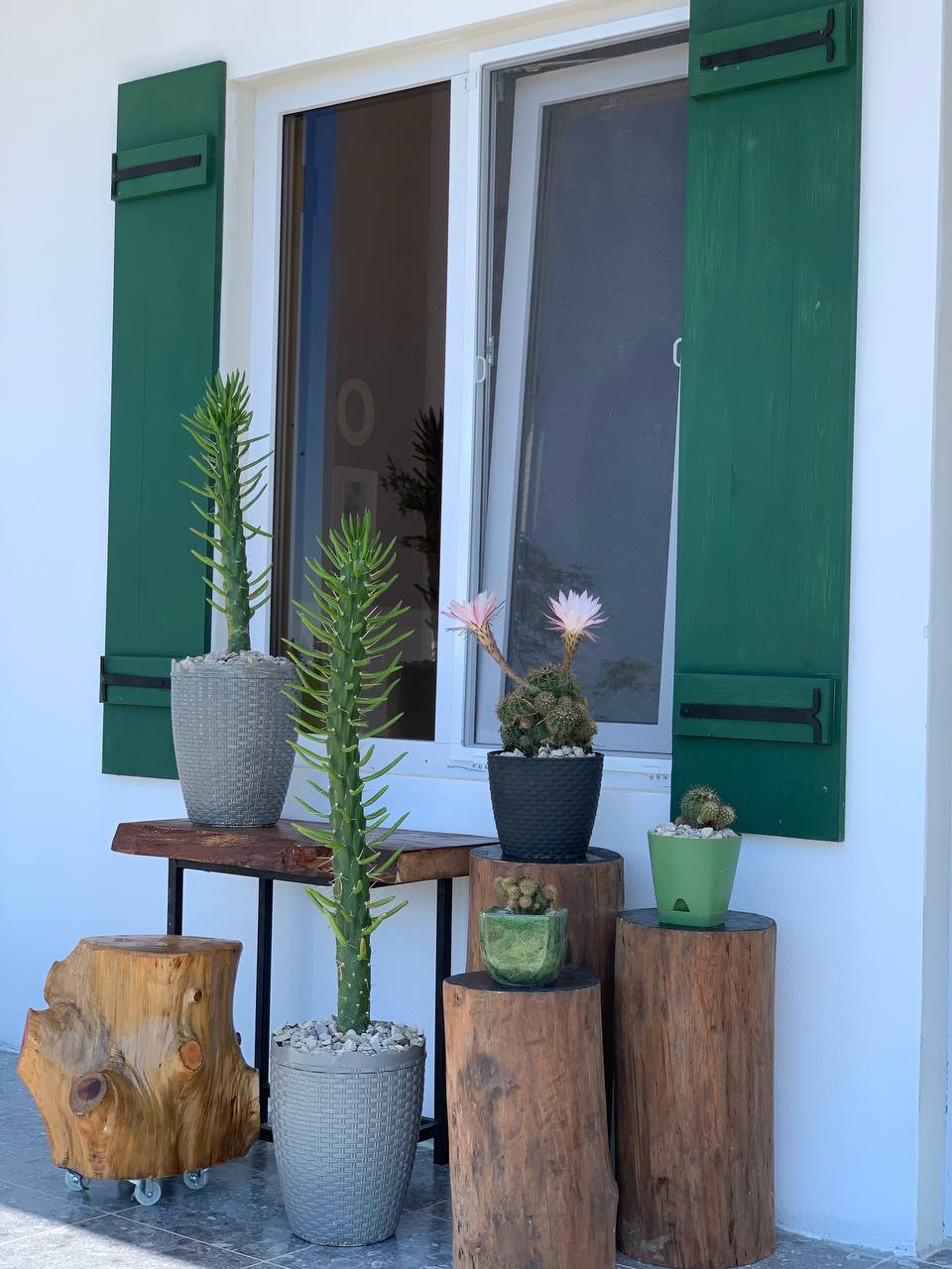 Фото Black River