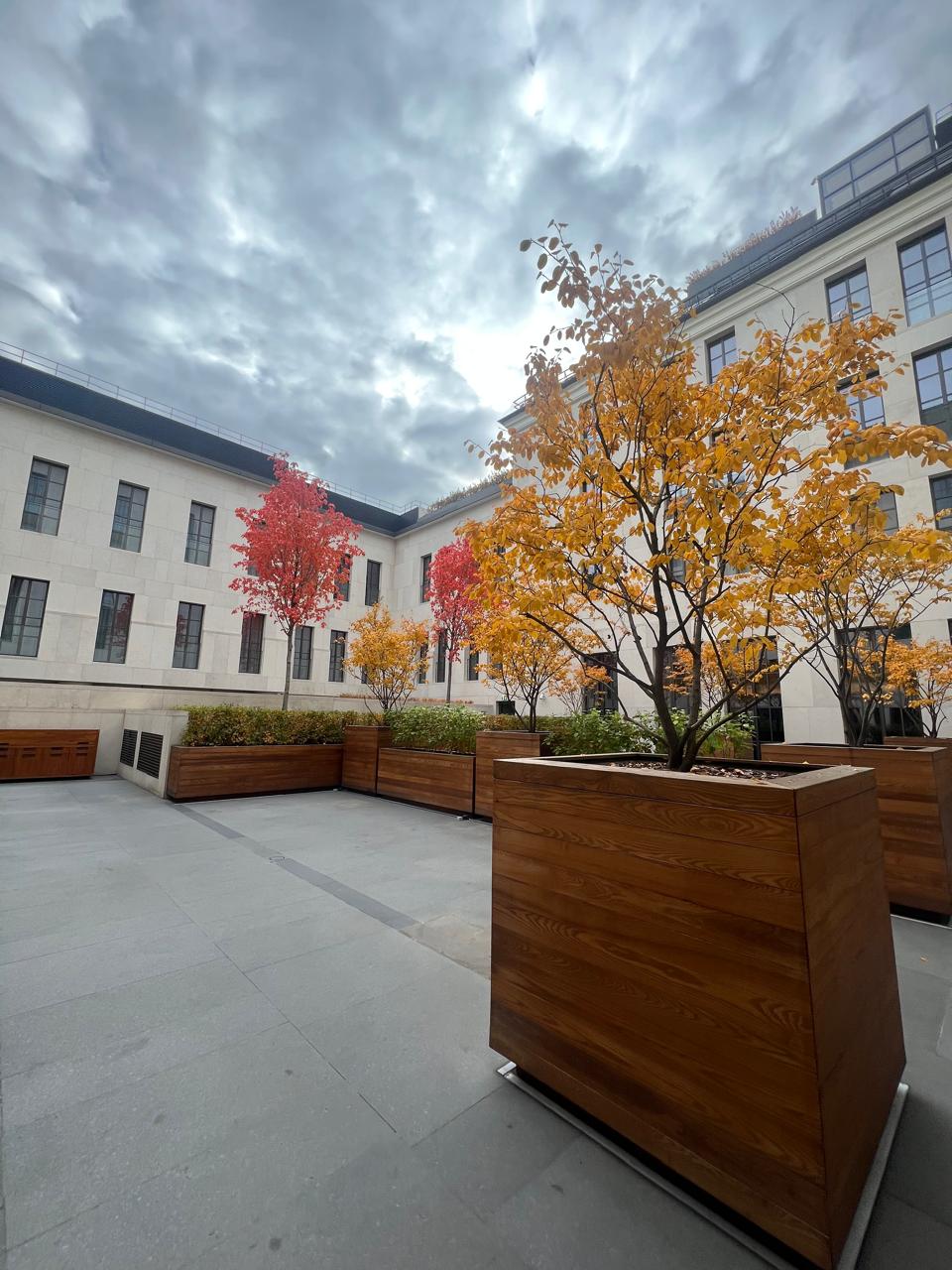 Фото Stella di Mosca