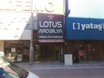 Lotus Mobilya (İzmir, Mehmet Akif Cad., 64), furniture store
