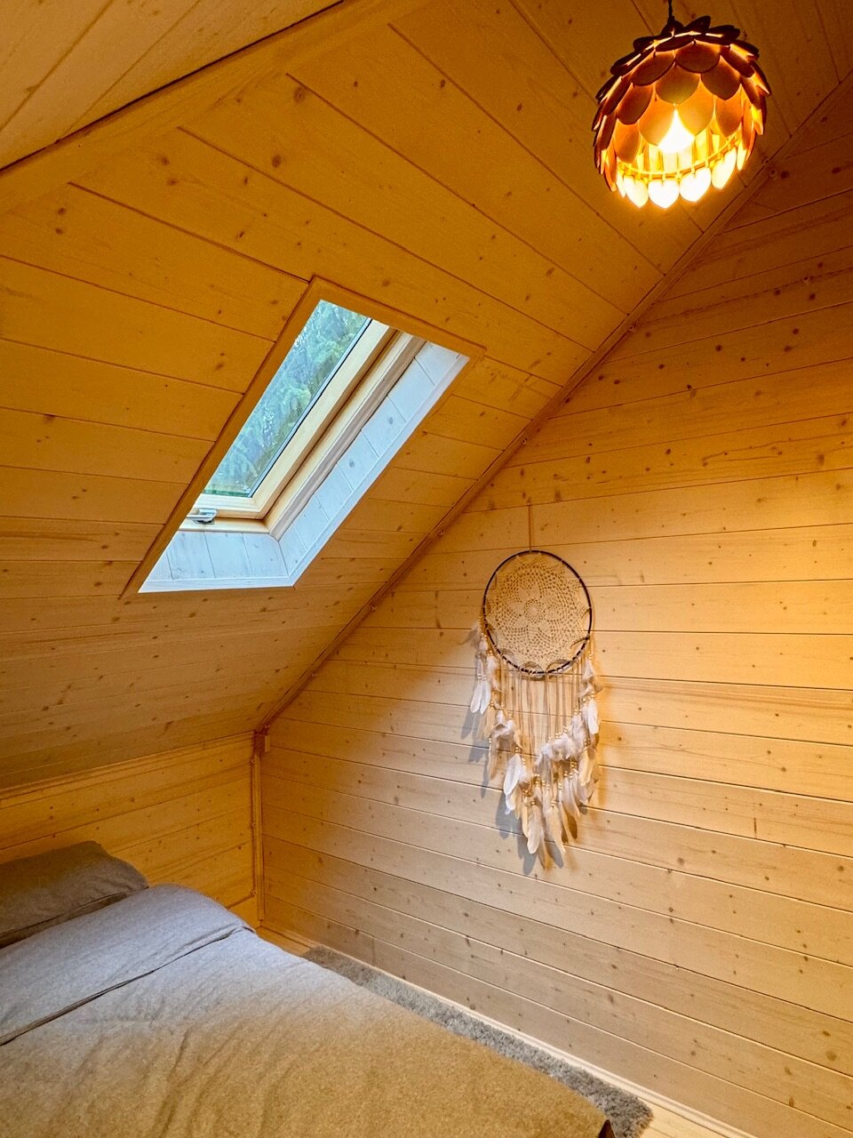 Фото Дом и Елки