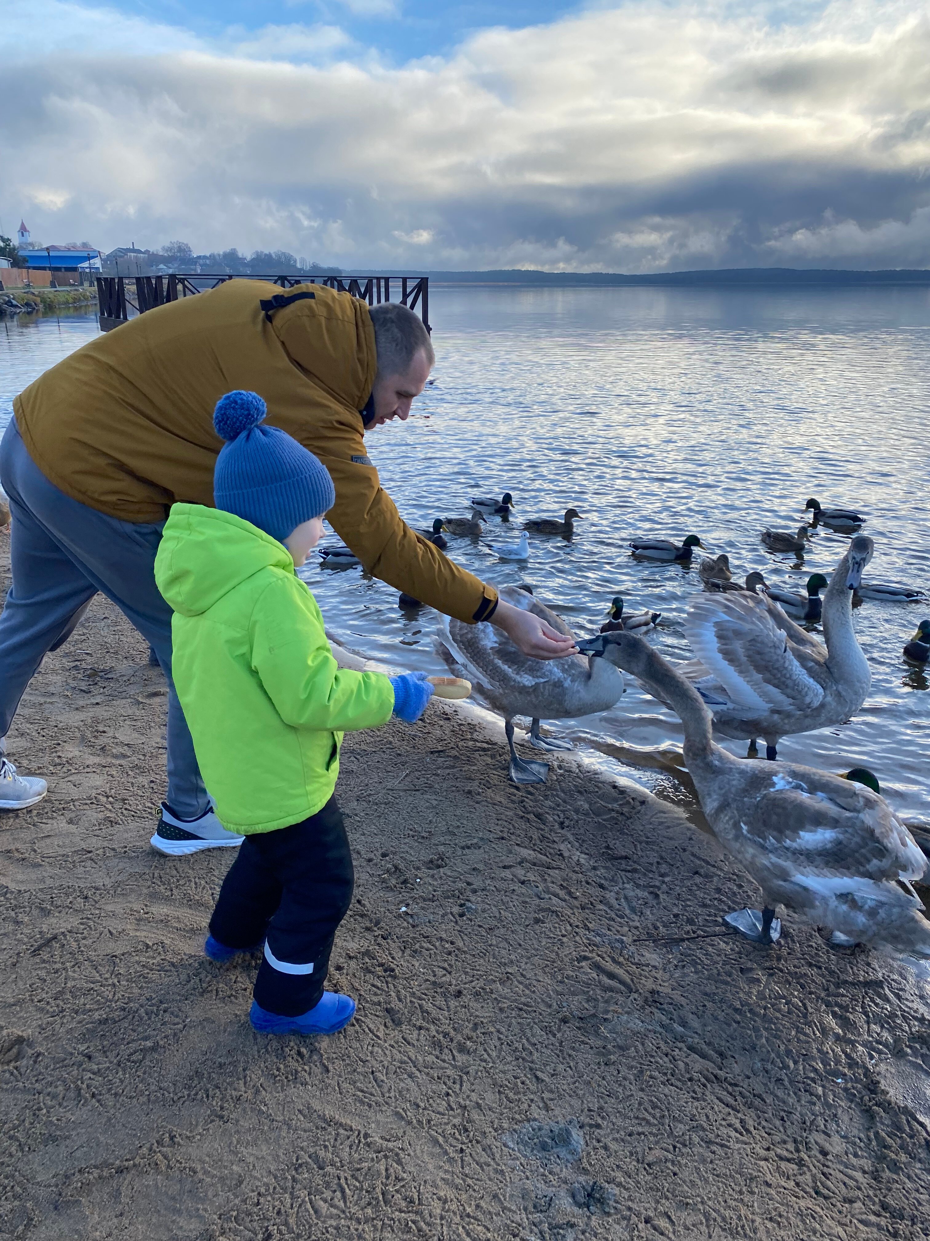 Фото Хуторок Себежский берег озера