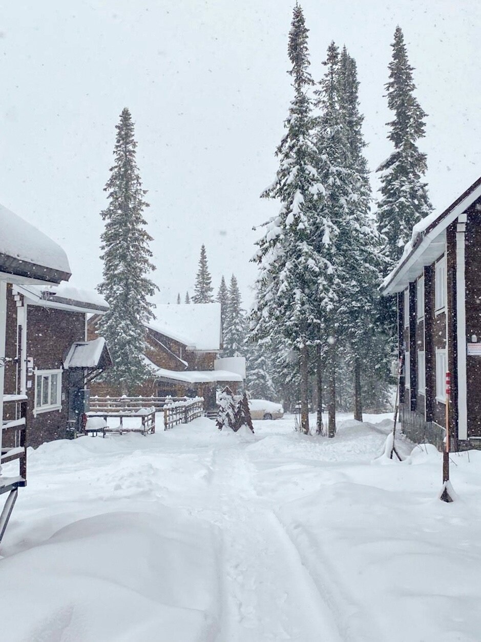 Фото Шервуд