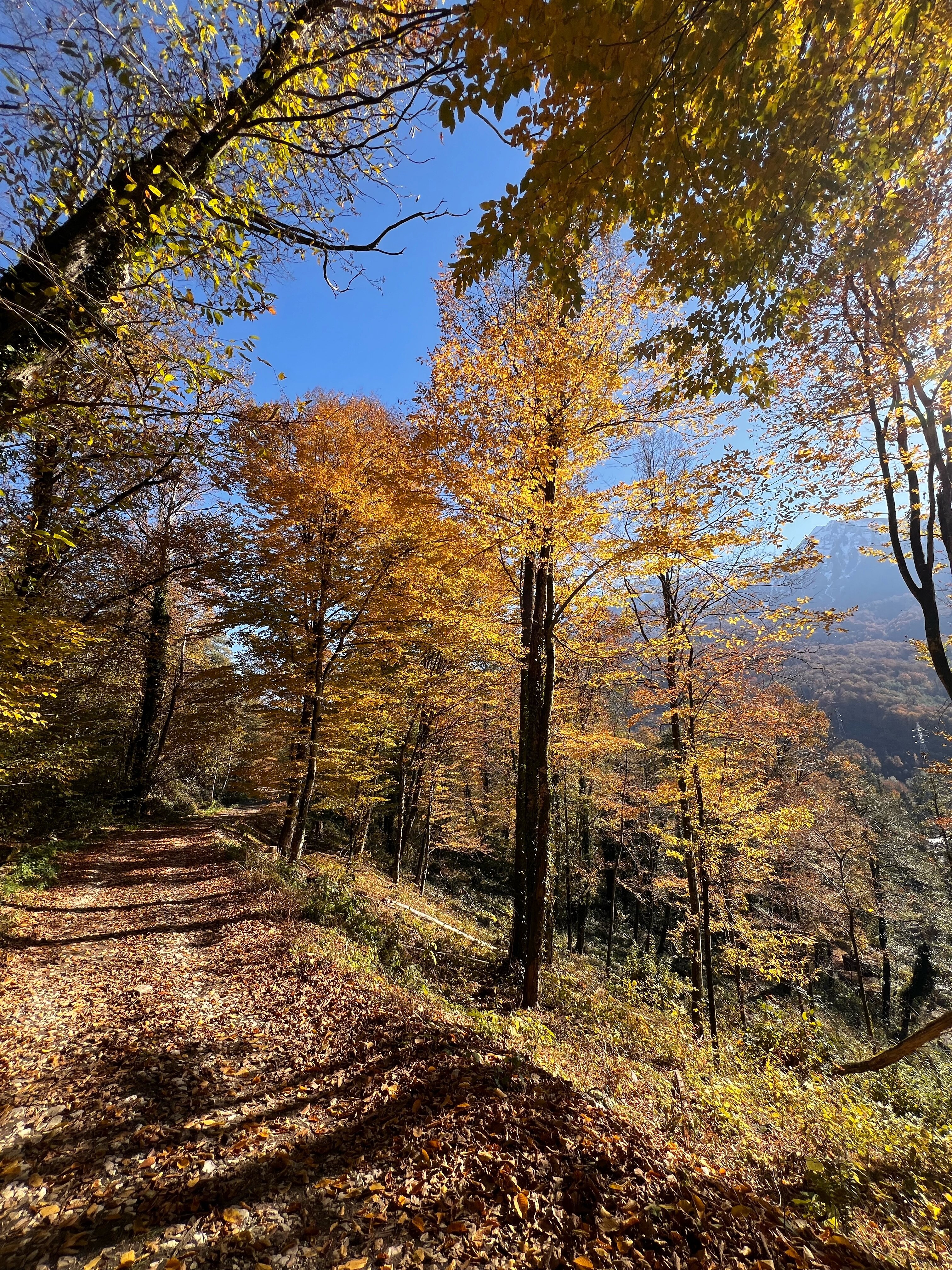 Фото Горный воздух