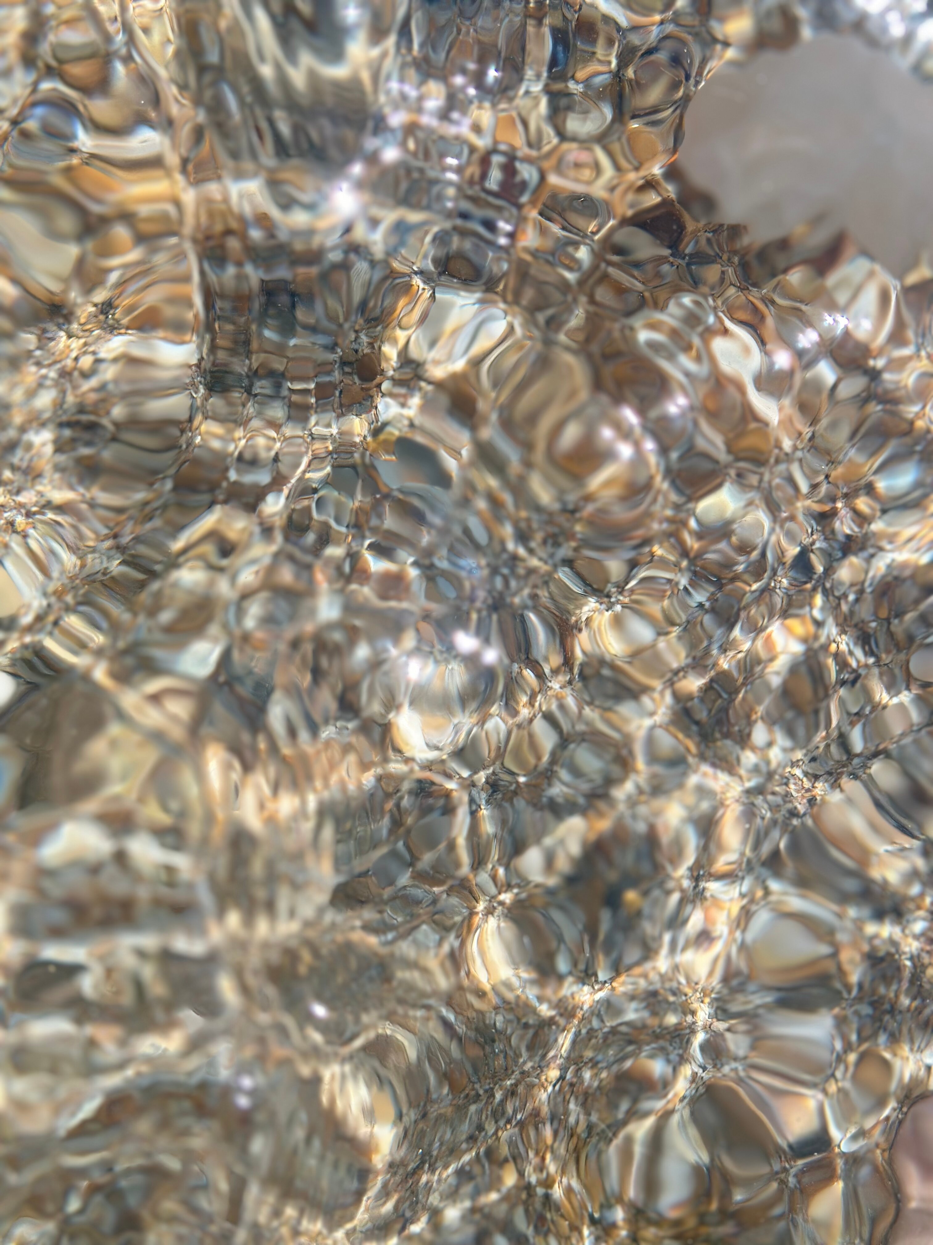 Фото Отель Жемчужина