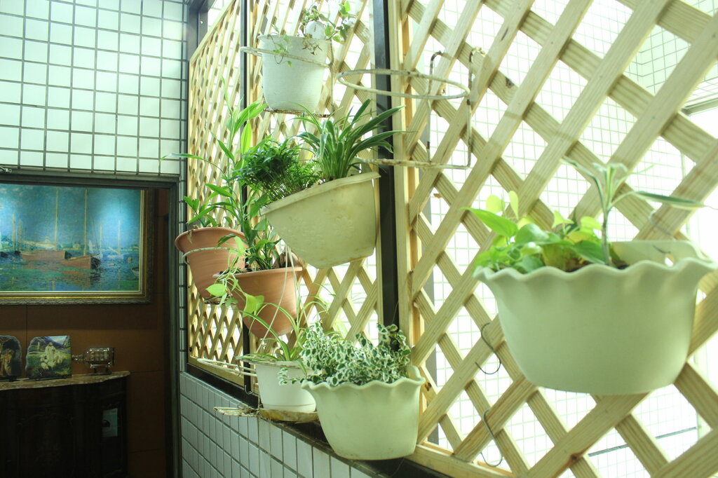 Hotel Taipei Shihlin Noah's Ark, Taipei, photo