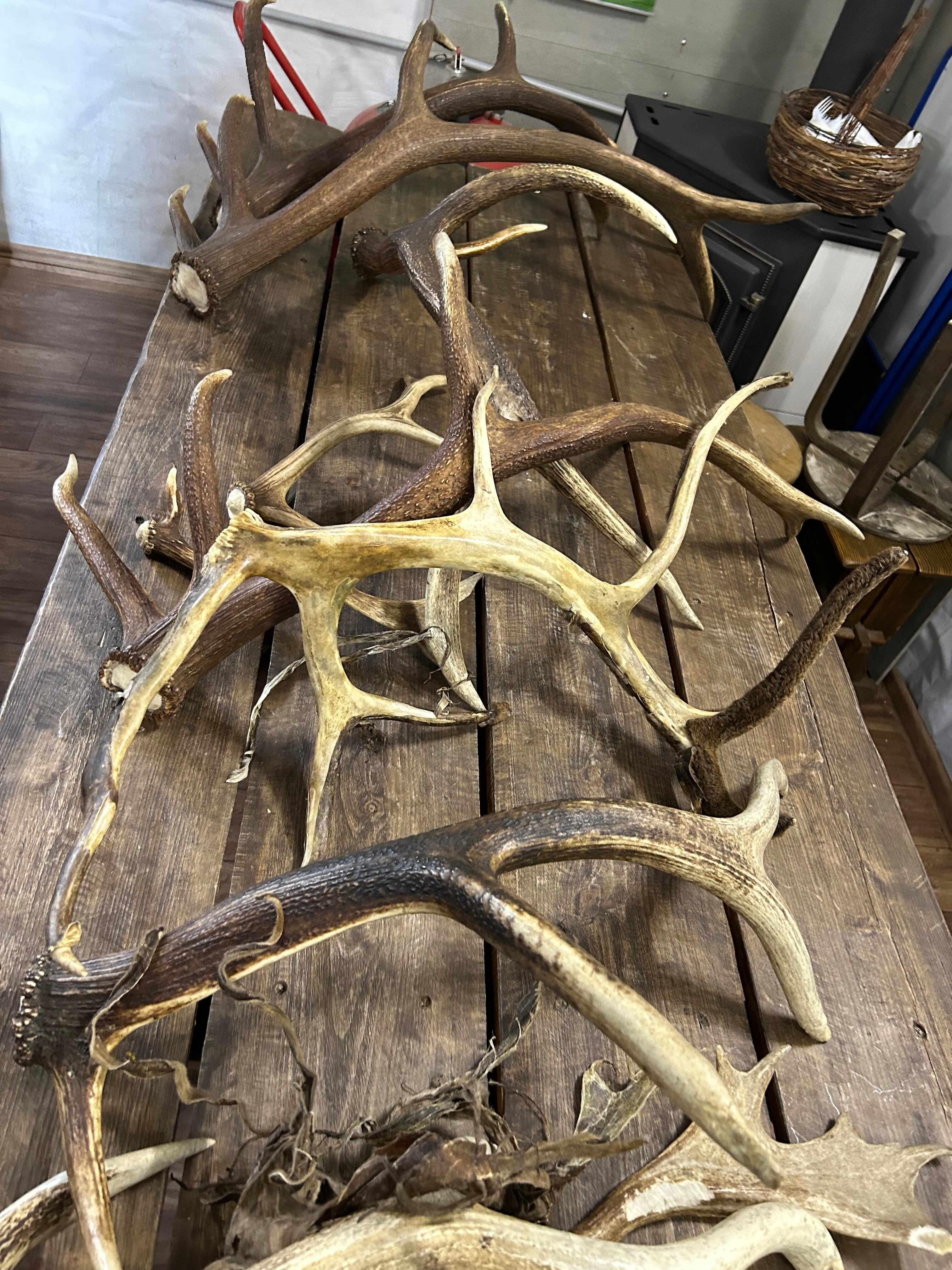 Фото Оленья ферма СудимирЪ