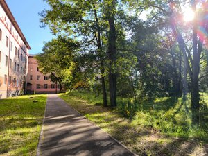 Ескі жапон порно