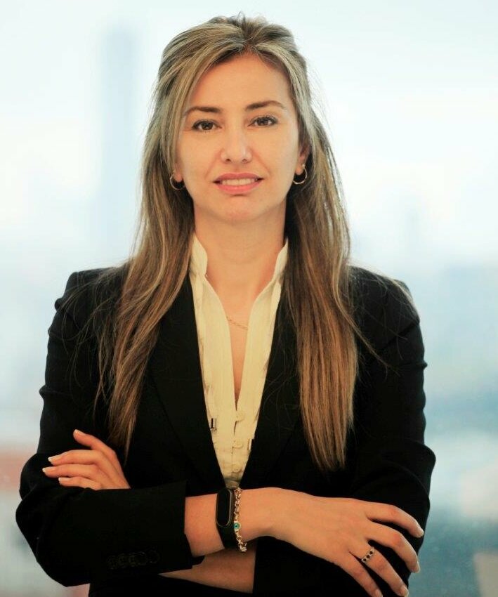 Audit company Gureli Certified Public Accounting and Independent Audit Services, Istanbul, photo