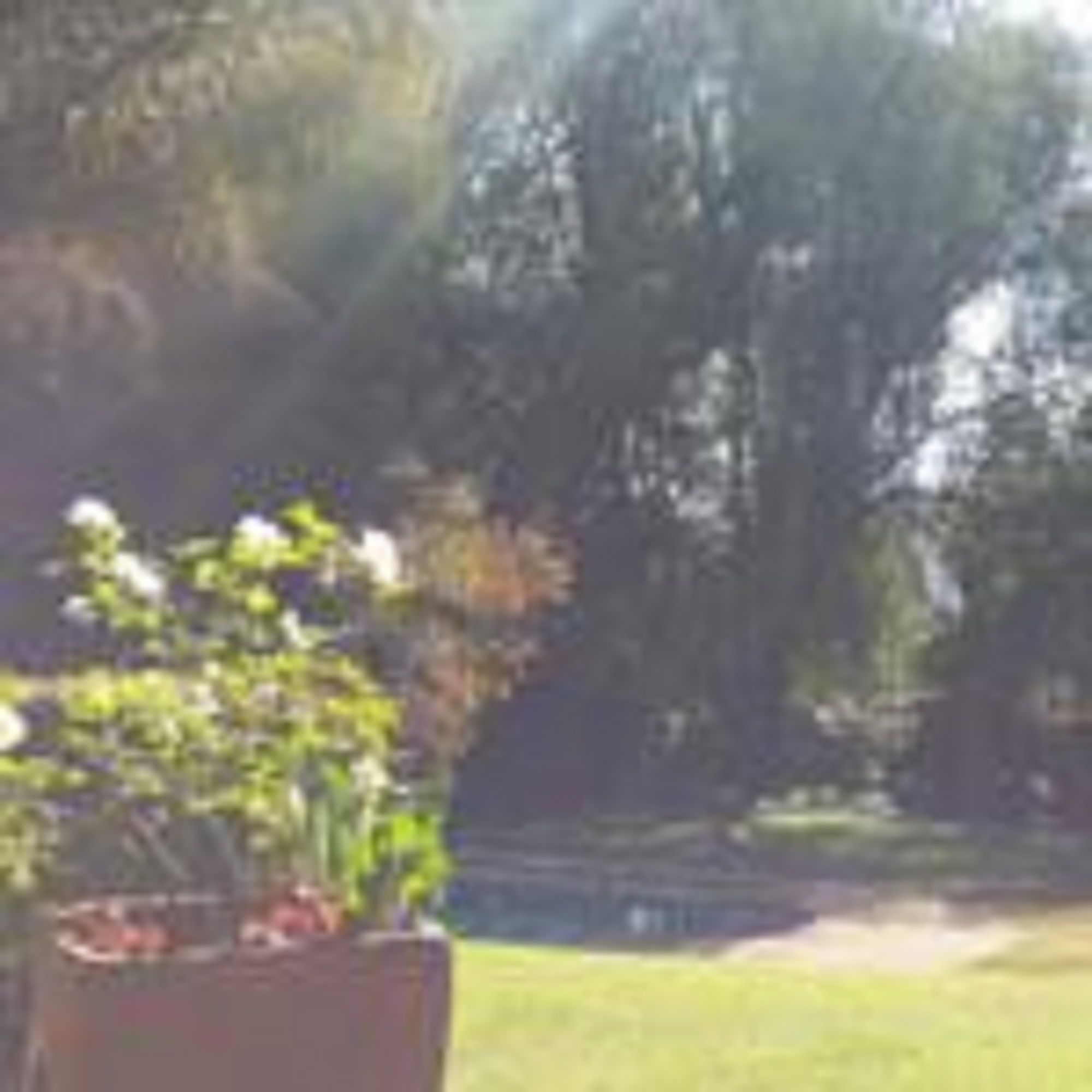 Фото Dublin Guest Lodge