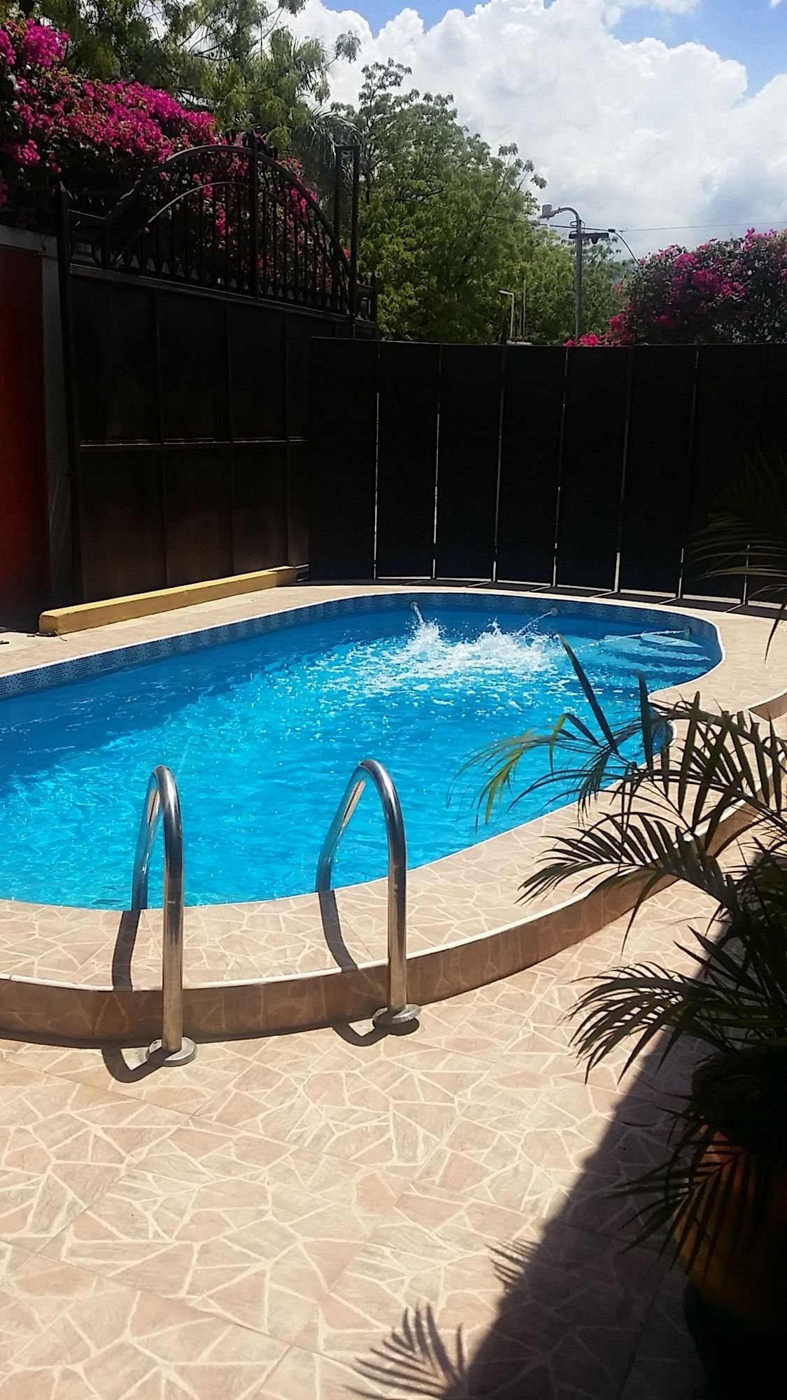 Фото Daniella Inn Hotel