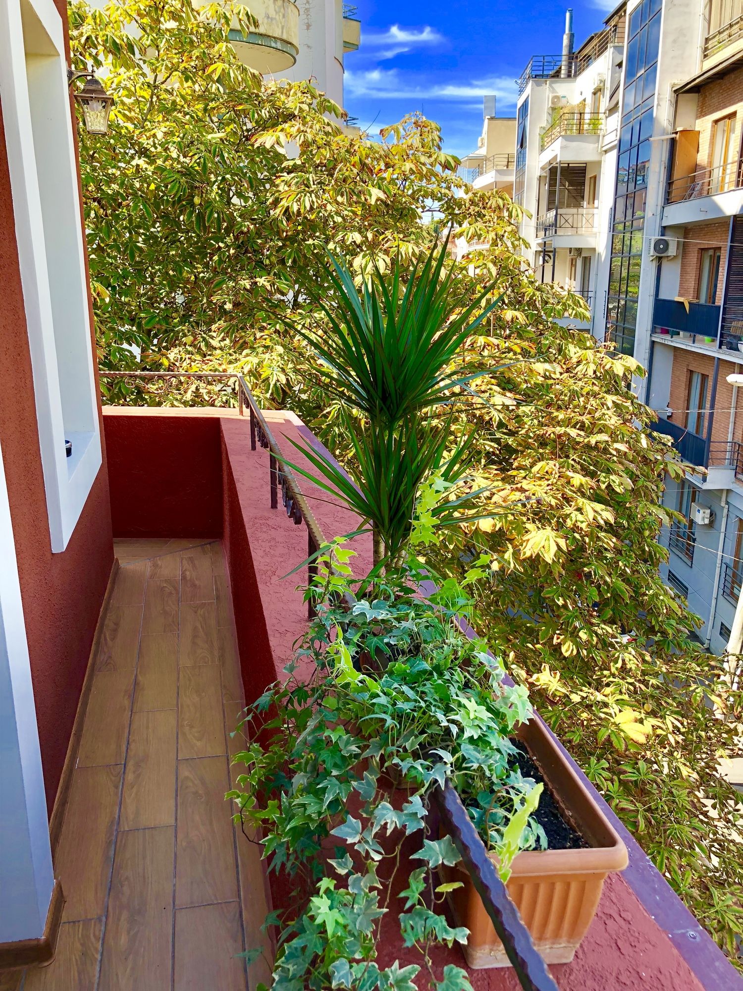 Фото British House