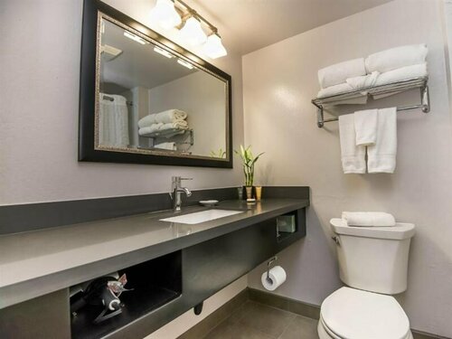 Гостиница Flamingo Resort в Санта-Розе
